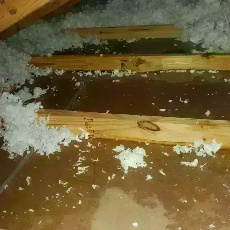 Attic Water Damage in Rockville, MN