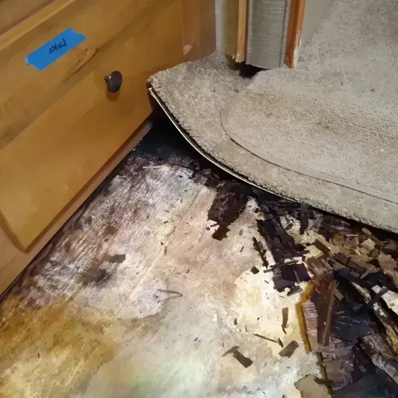 Wood Floor Water Damage in Rockville, MN